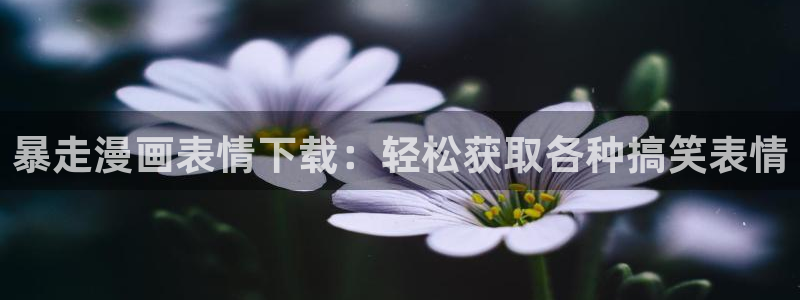 汗汗漫画在线观看：暴走漫画表情下载：轻松获取各种搞笑表情