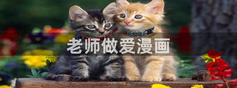 www.汗汗漫画com：老师做爱漫画