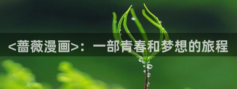 羞羞歪歪汗汗漫画sss：<蔷薇漫画>：一部青春和梦想的旅程