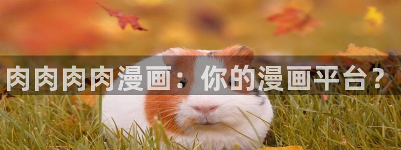 汗汗漫画免费漫画页面在线看