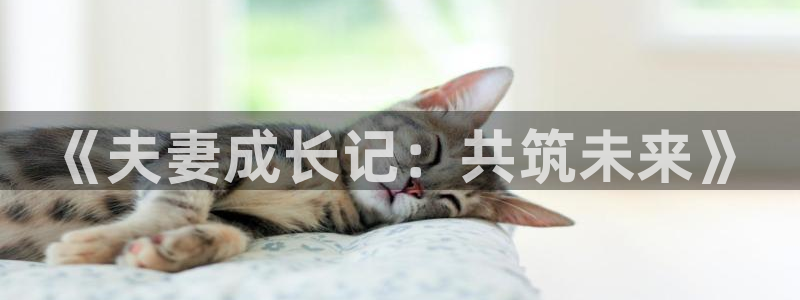 汗汗漫画免费观看页面看漫画下拉式