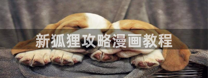 歪歪汗汗漫画sss在线看