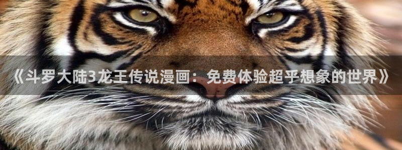 汗汗漫画手机