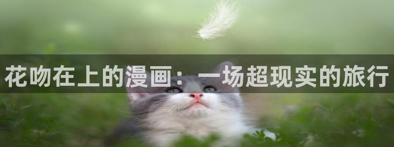 韩国汗汗漫画在线观看
