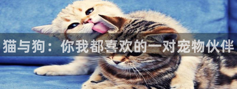 美丽新世界汗汗漫画